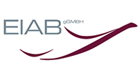 European Institute of Aviation and Business